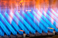 Avington gas fired boilers